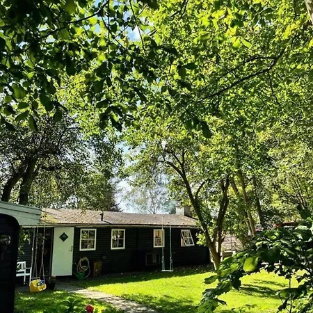 Oasis Near With Space To Play