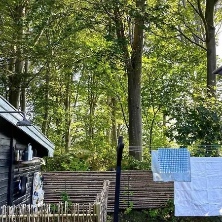 Oasis Near With Space To Play