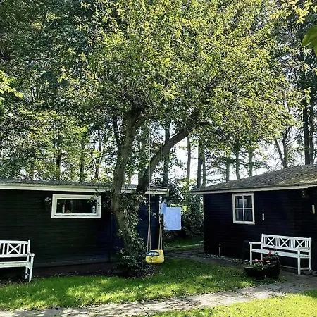 Oasis Near With Space To Play