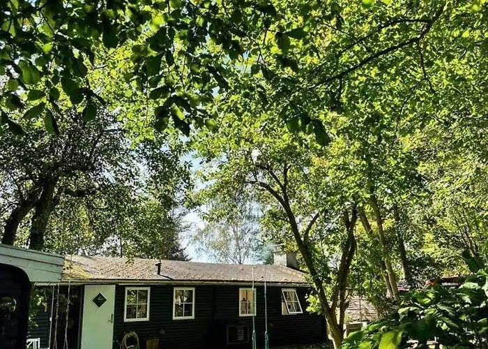 Oasis Near With Space To Play
