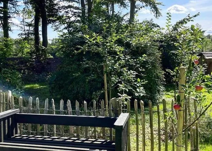 Oasis Near With Space To Play *
