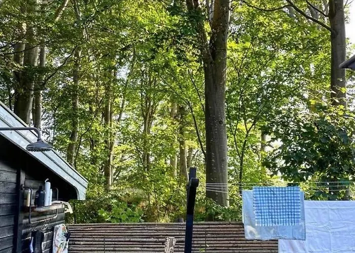 Oasis Near With Space To Play